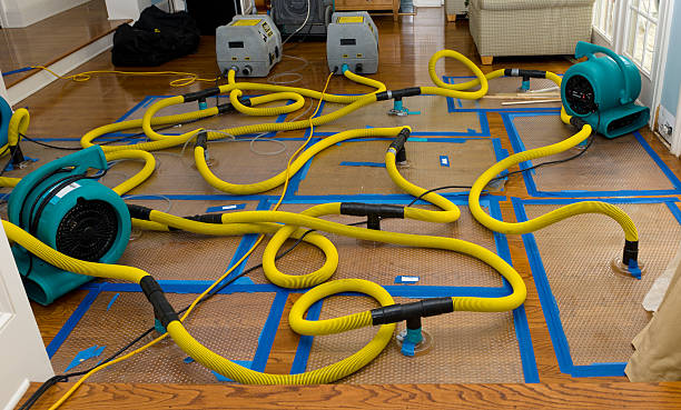 Professional Structural Drying And Dehumidification technician working in Glendale, OH
